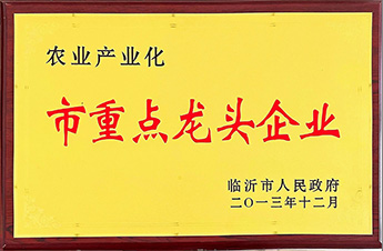 農(nóng)業(yè)產(chǎn)業(yè)化市重點龍頭企業(yè)